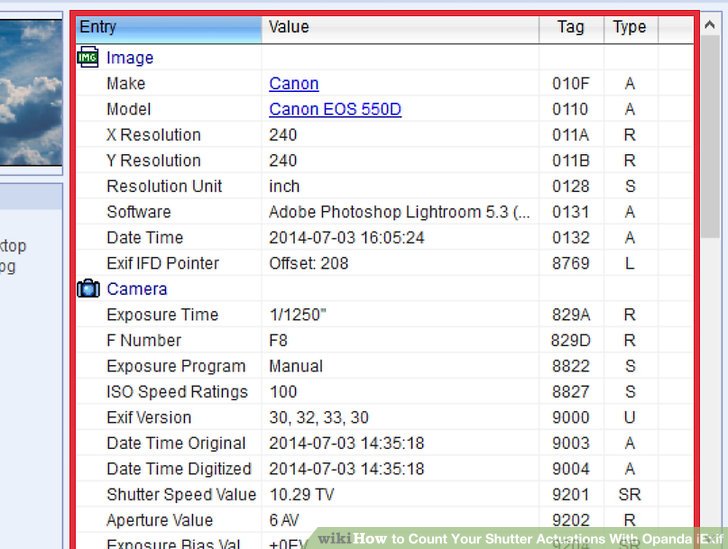 online shutter count check canon